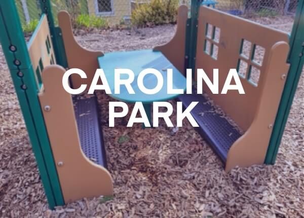 Carolina thumbnail