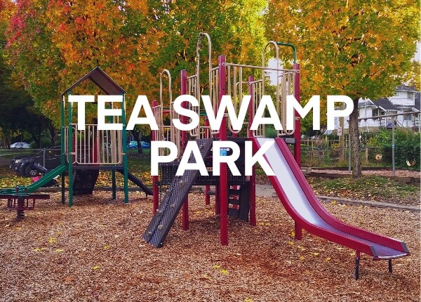 Thumbnail of Tea Swamp Park playground