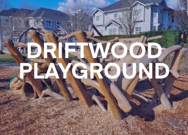 Driftwood Playground
