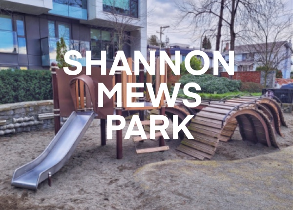 Shannon mews