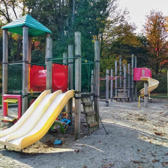Almond Park Playground