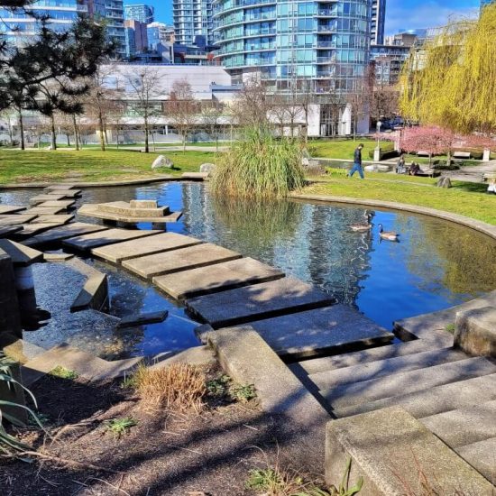 Reflecting pool at Andy Livingstone park