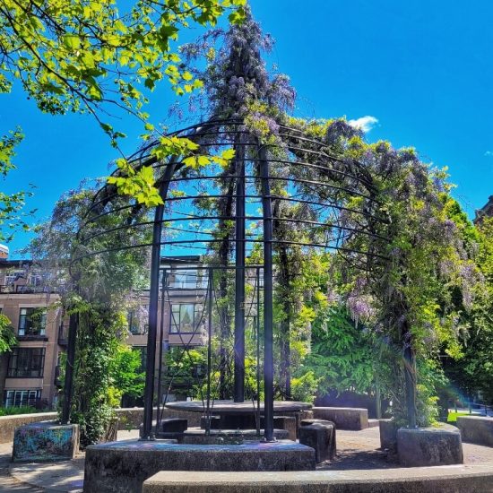 Arbour with wisteria at Arbutus Greenway park playground