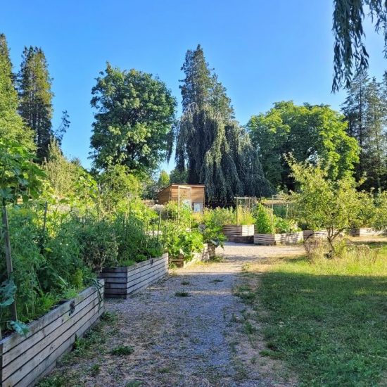Community garden at Beaconsfield park