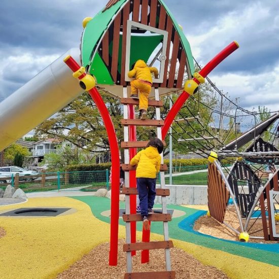 Ladder for slide at Brewers park playground