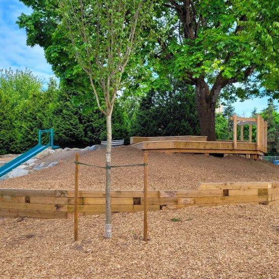 Timber deck at Charleson park playground