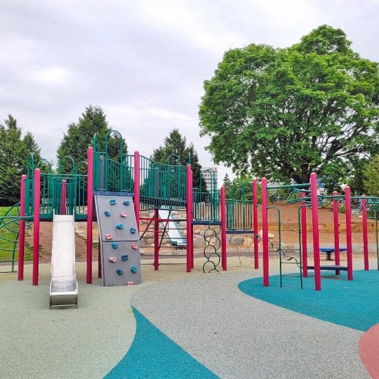 Charleson Park playground structure1