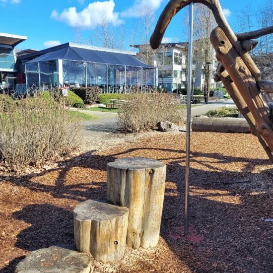 Metal pole with steps at Driftwood Playground