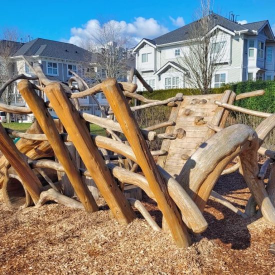 Driftwood Playground3