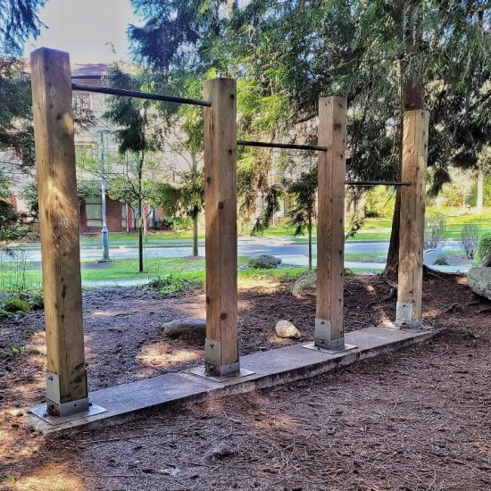 Pull up bars at East Campus park woods