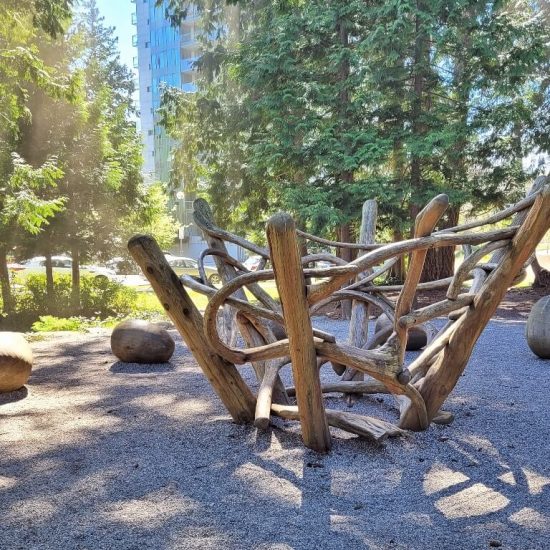 East Campus Park play structure3