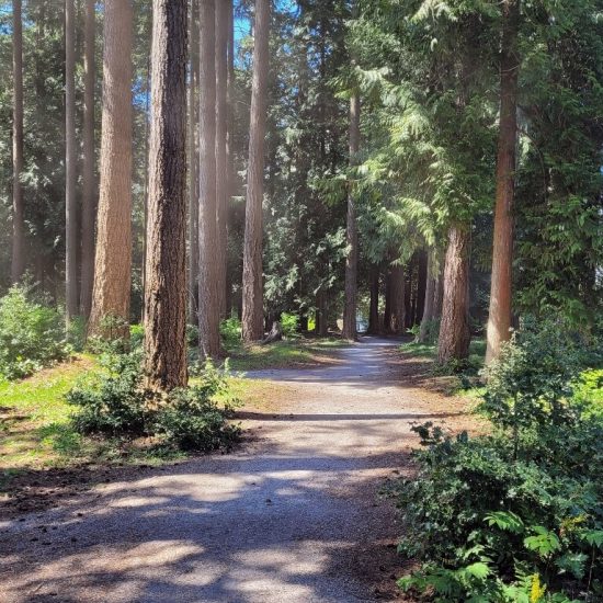 Walking path at East Campus Park playground