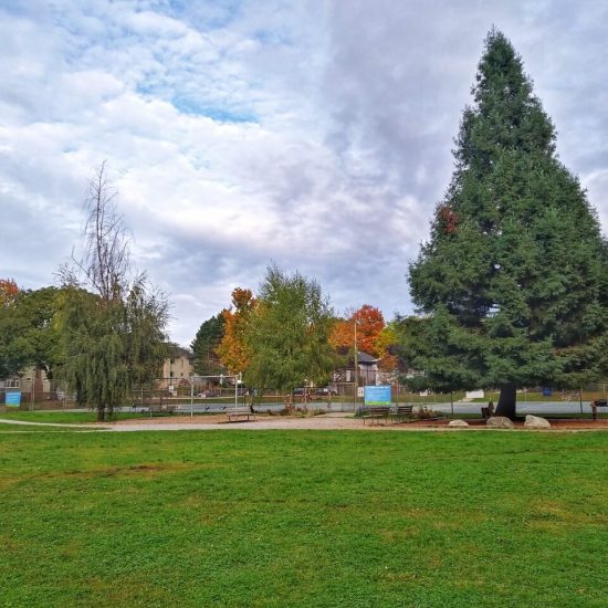 Heather Park playground