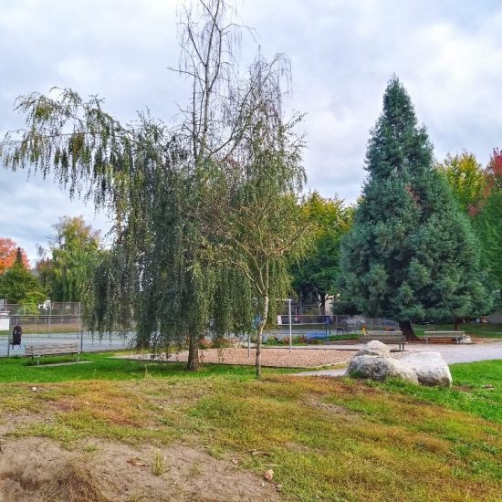 Sideview of Heather Park playground