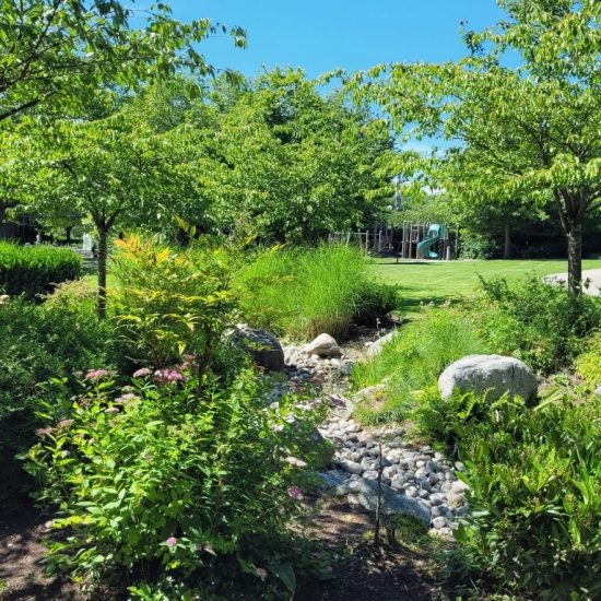 Greenery and stone stream at Jim Taylor park playground