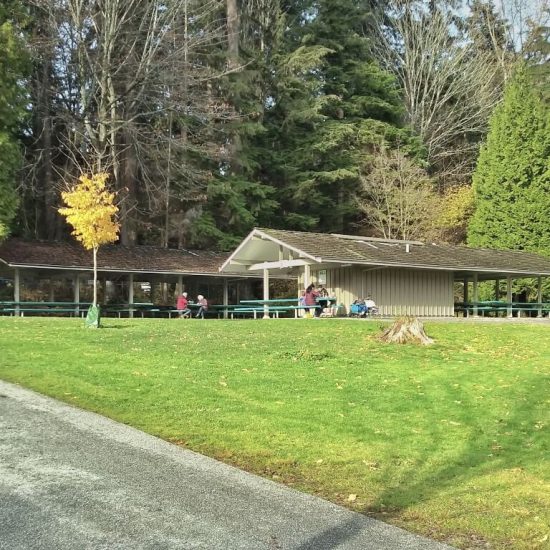 Picnic tables at Lumbermen's arch playground