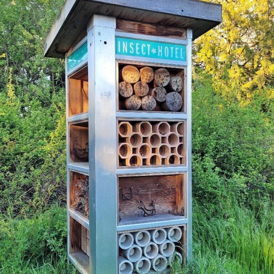 Insect hotel at Oak Meadows park