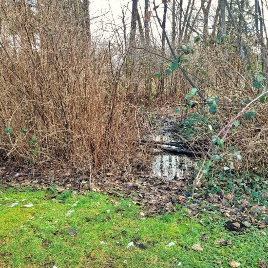 Swampy area at Oak Meadows park playground