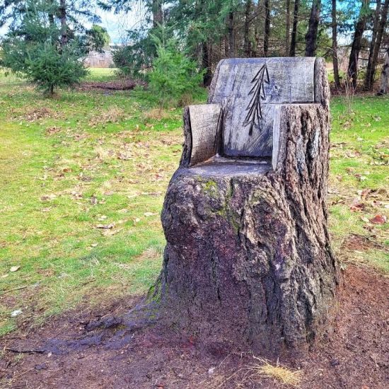 Stump throne at Oak Meadows park