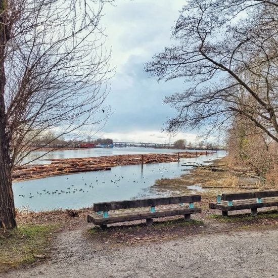 Benches at Riverfront Park West playground