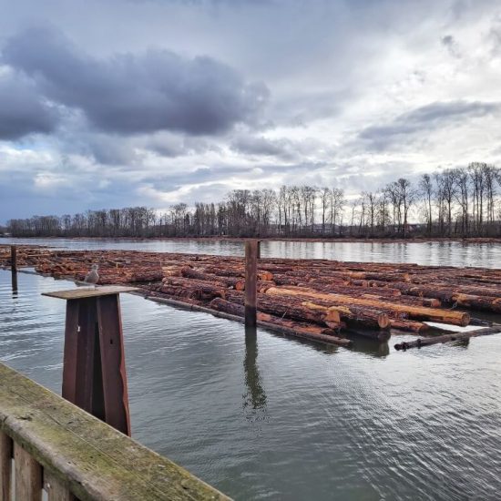 Log booms at Riverfront Park West playground