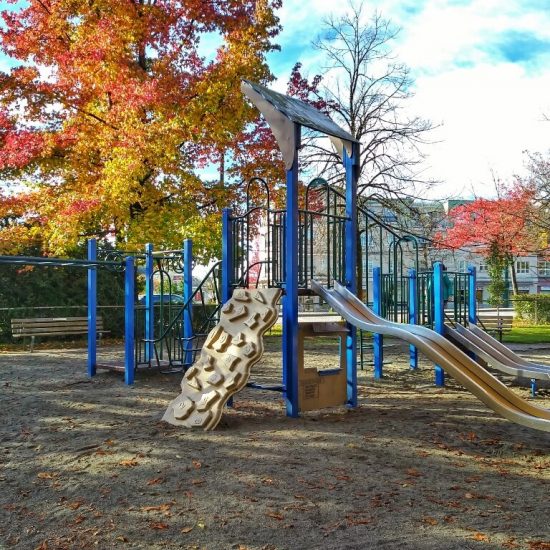 Robson Park playground2