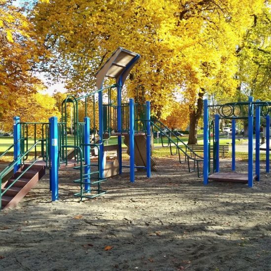 Robson Park playground3