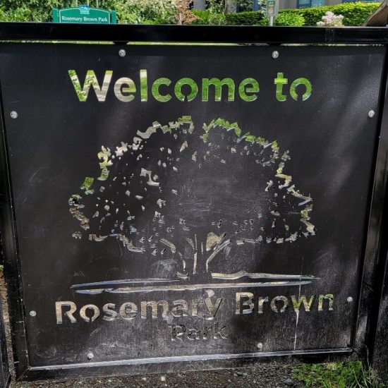 Gate at Rosemary Brown Park playground