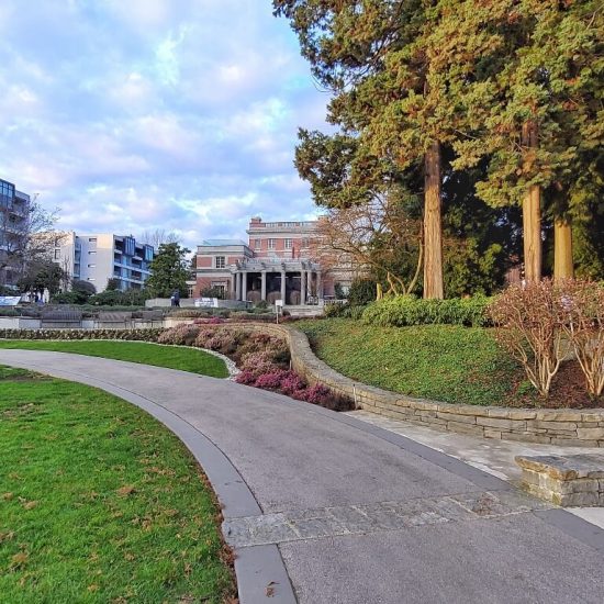 Paths and open lawn at Shannon Mews Park