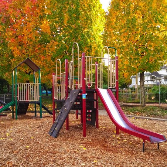 Tea Swamp Park playground