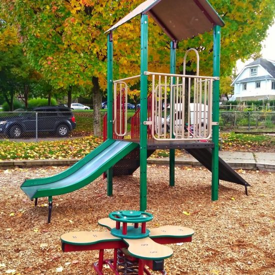 Tea Swamp park toddler playground1